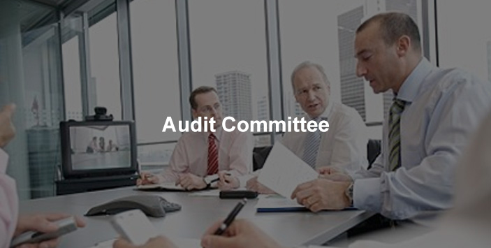 Lesso Audit committee
