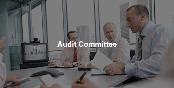 Audit committee