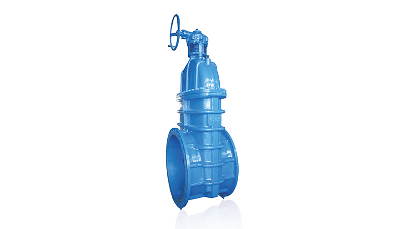 Lesso Flanged Worm Gear Gate Valve