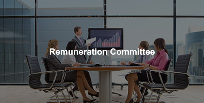 Remuneration committee