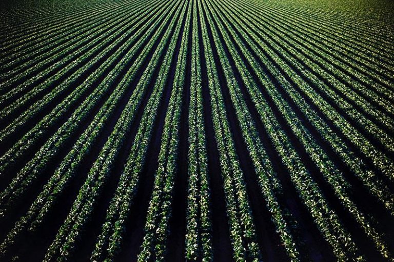 How Can We Save Water from Irrigation