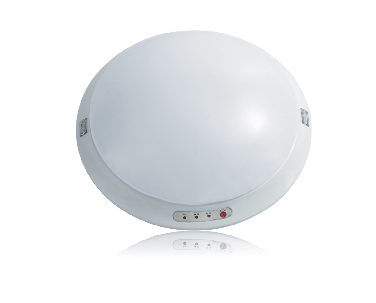 Lesso Ceiling Fire Emergency Lighting Luminaire