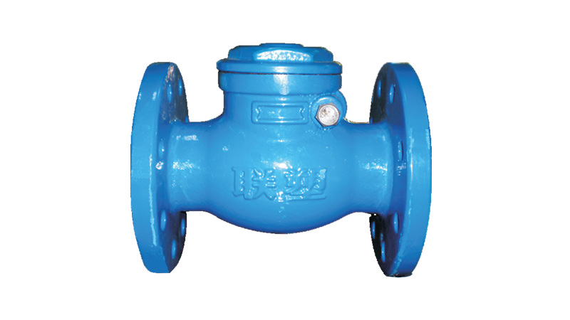 Lesso Flange Check Valve