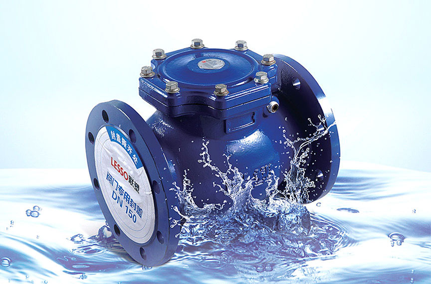 Lesso Flanged Rubber Sheet Check Valve
