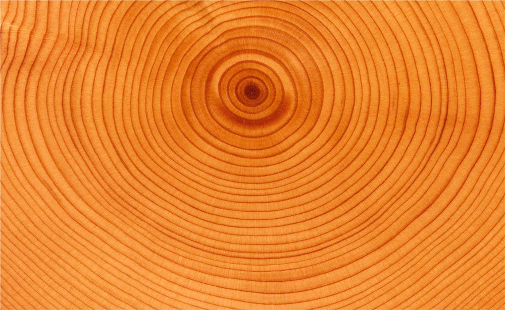 Lesso Imported Raw Wood with High Quality