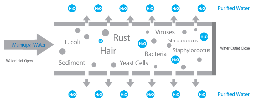 Lesso NSF Certied UF Filter Cartridge