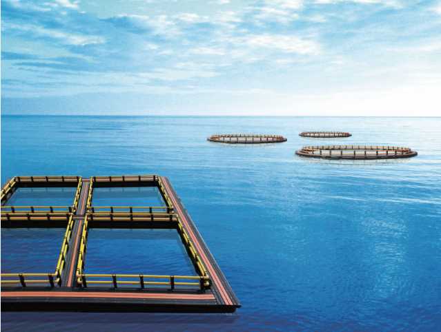 Lesso Expand the Ocean Space Space