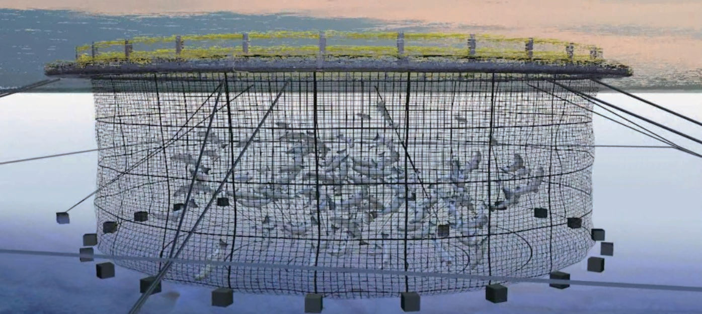 Lesso Mooring System