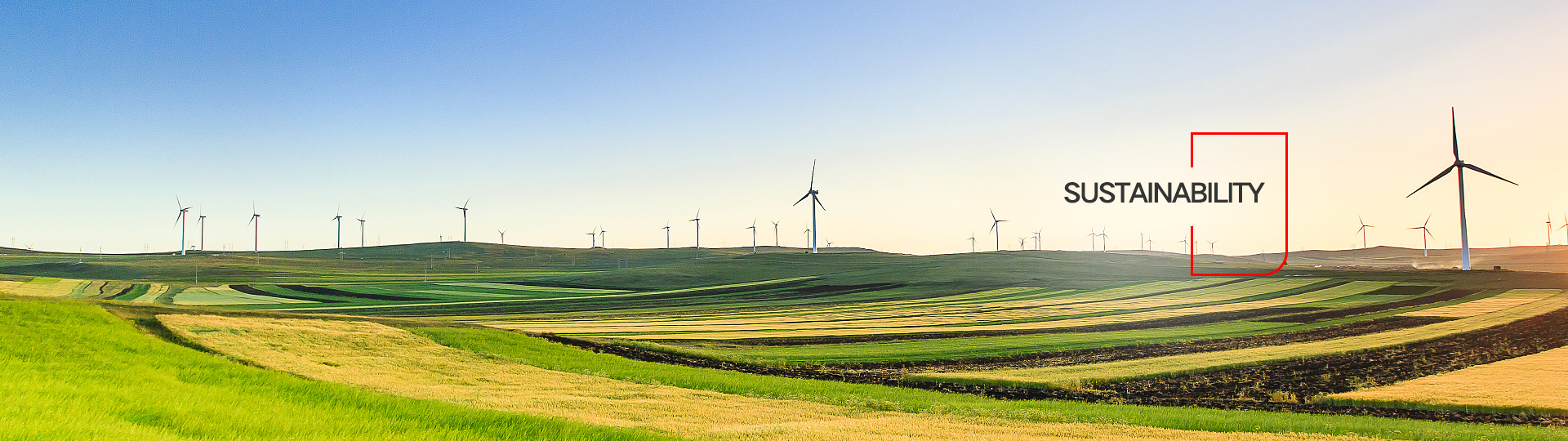Sustainability