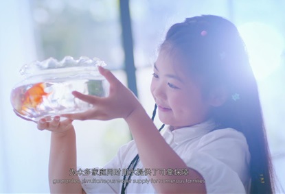 Constructing Lesso Quality | The Growing of The Great Brand