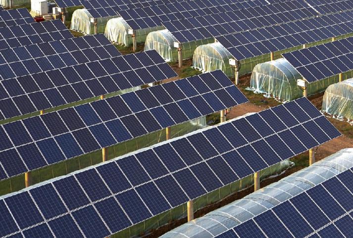 Lesso Agriculture-Complementary PV Power Station