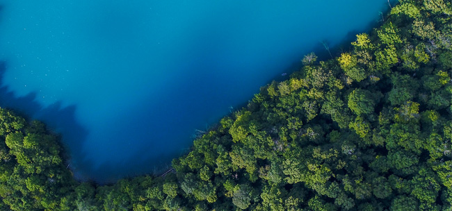 Environmental Protection