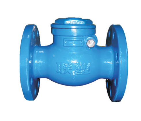Flange Check Valve Installation & Maintenance Guide
