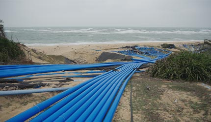 China Lesso Promotes High-Quality Development of Hainan's Specialty Agriculture