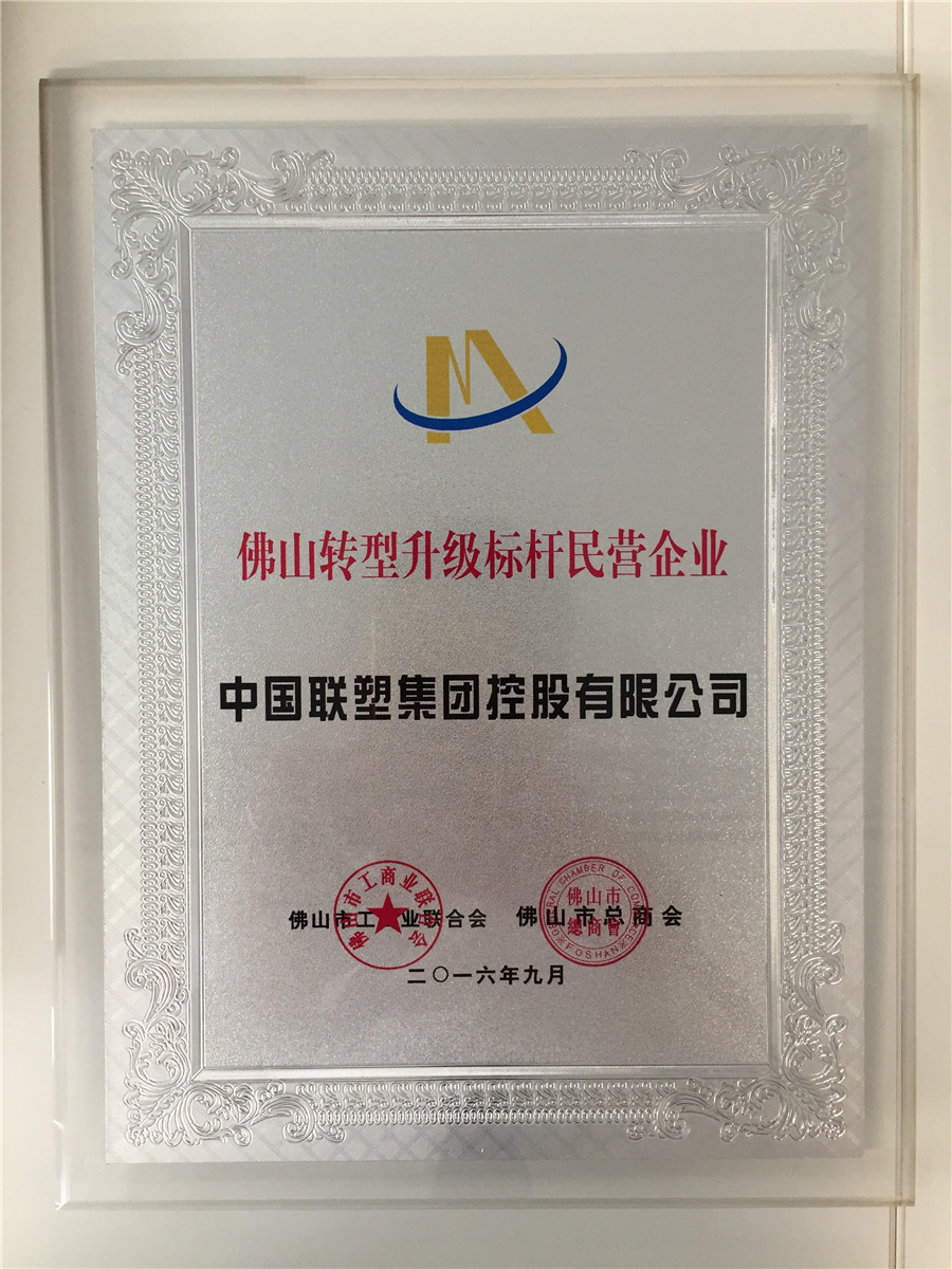 佛山转型升级标杆民营企业(中国联塑)
