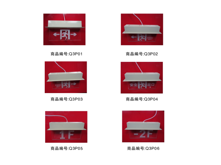 LS-BLZD-2LROE I 2W-Q3型消防应急标志灯（嵌顶式）